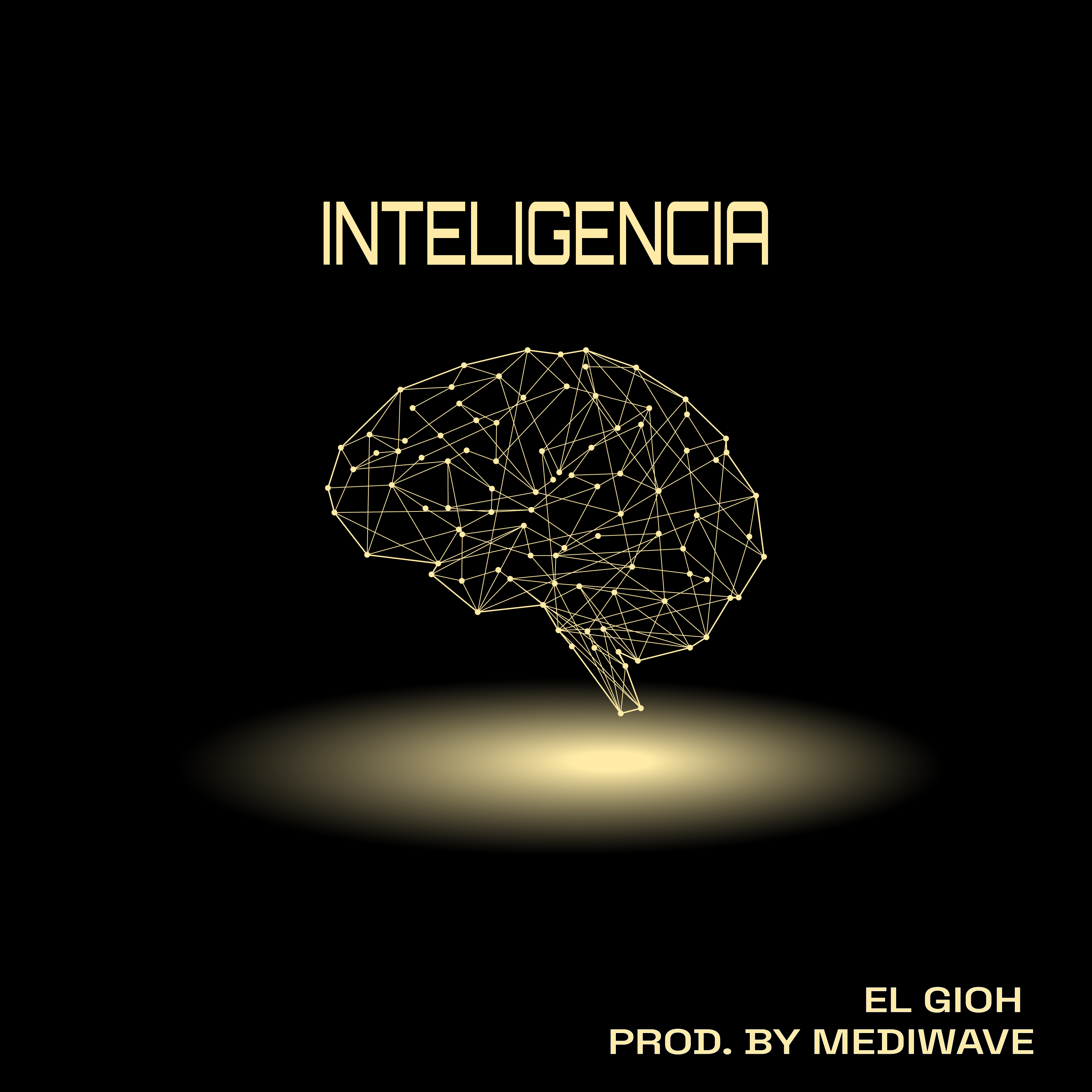 INTELIGENCIA